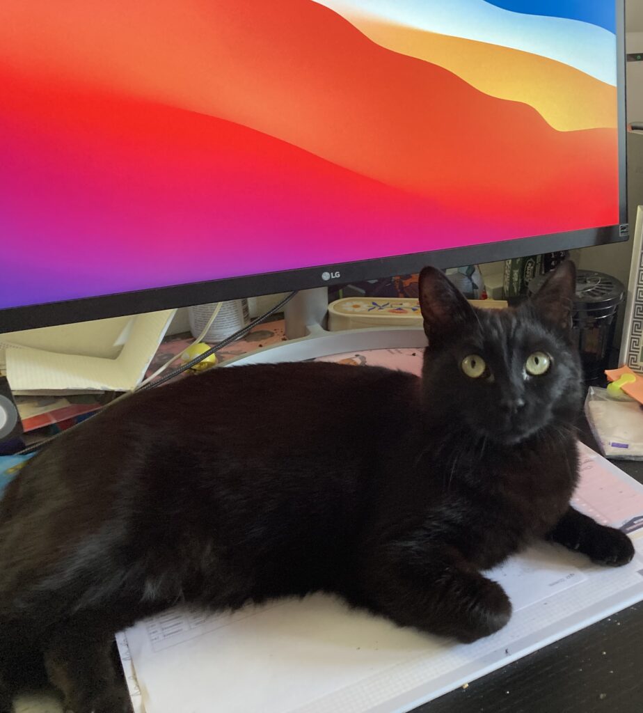 Salem